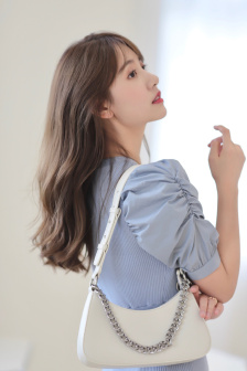 屋顶上的大象